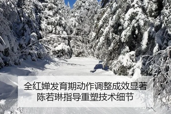 quan-hong-chan-fa-yu-qi-dong-zuo-tiao-zheng-cheng-xiao-xian-zhu-chen-ruo-lin-zhi-dao-zhong-su-ji-shu-xi-jie-2-443.jpg